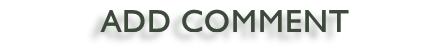 Add Comment